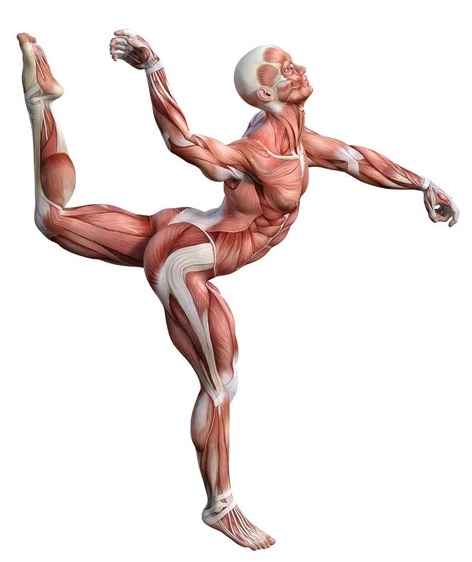 conscience_corporelle